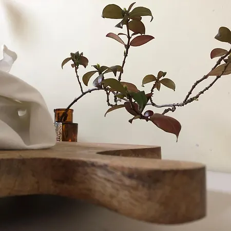 Tiramisu Apartment